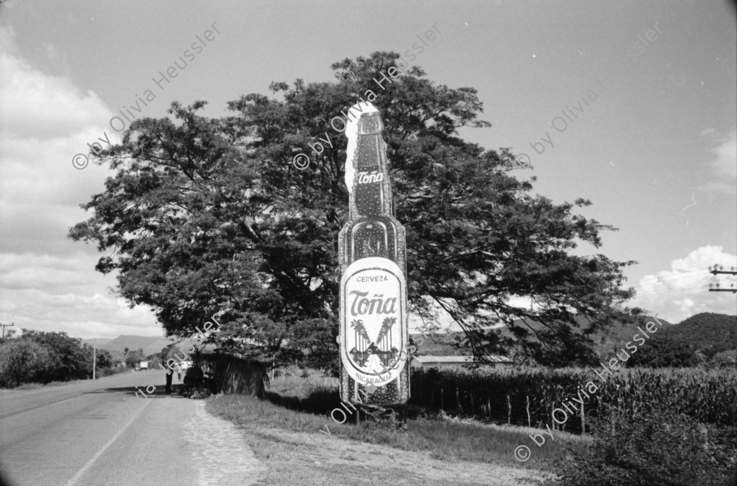 Image of sheet 19940700 photo 17: Nicaragua 1994