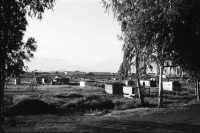Image of sheet 19940720 photo 23: Strassenverkäufer Innen in Managua. Abfall wird abgebrannt. Neue Barrios. Holzhütten. Graffitti mit Eiscremeverkäufer. Kasettenverkäufer. Portrait Hebamme Dona Maria. Vor Mural. Kanalisationsarbeiter Inaa in Esteli 1994 Nicaragua
Ein Eisverkäufer vor einem Graffiti 
Glacé Verkäufer fliegender Händler Ice Cream vendor Eskimo Man street