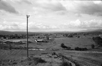 Image of sheet 19940750 photo 15: E