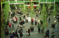 Image of sheet 19941560 photo 26: Arte in Basel Ann Mandelbaum Photographin New York Brooklyn in Gordevio Haus