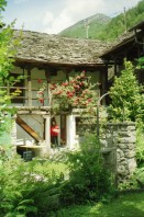 Image of sheet 19941560 photo 8: Ann Mandelbaum Photographin New York Brooklyn in Gordevio Haus