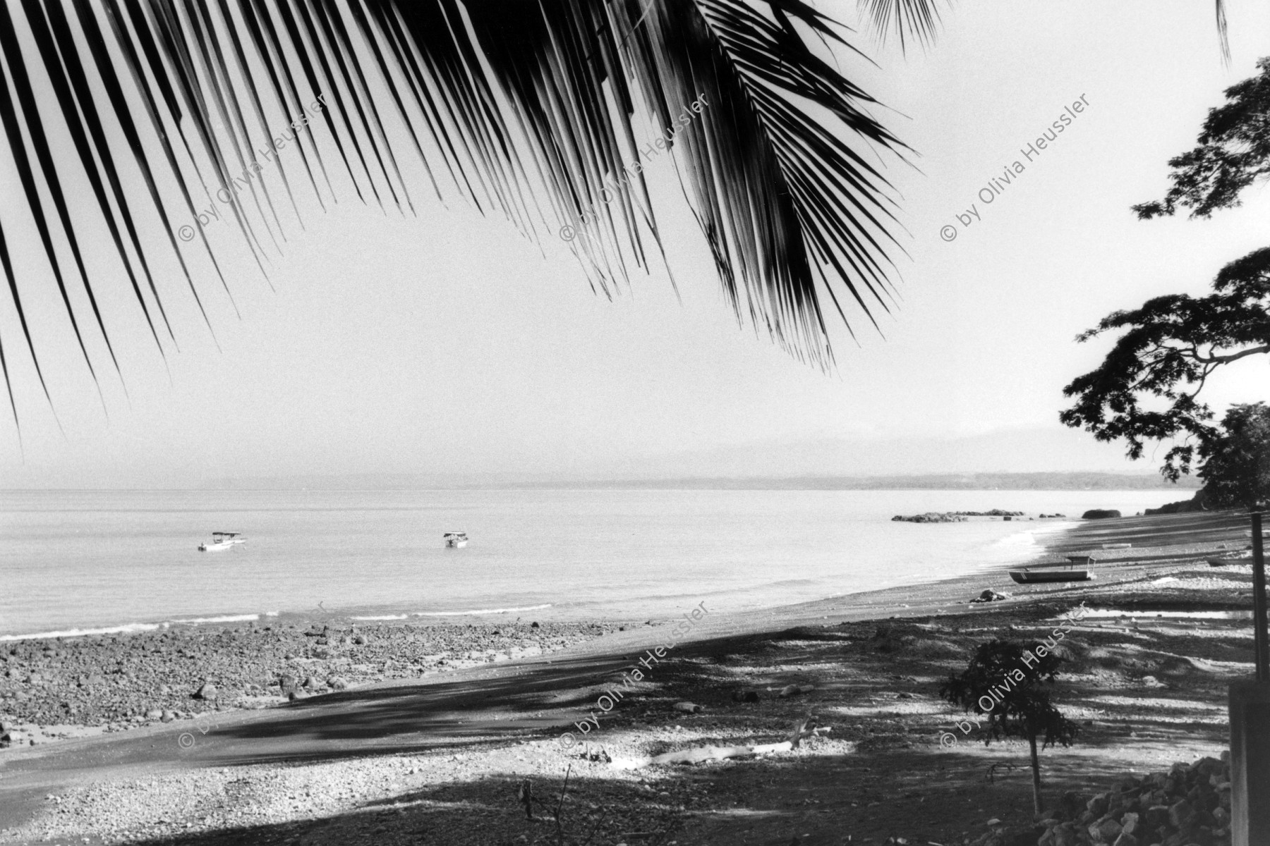 Image of sheet 19950090 photo 15: Sandstrand an der Pazifikküste beim Rio Tarcoles Jaco Costa Rica 1995 √ Playa sand