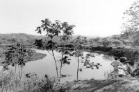 Image of sheet 19950090 photo 2: Sicht auf den Rio Tarcoles in der Carara Biological Reserve bei Jaco Costa Rica 1995 √ Nature parc
Tourist looking over the Rio Tarcoles in the Carara Biological Reserve.