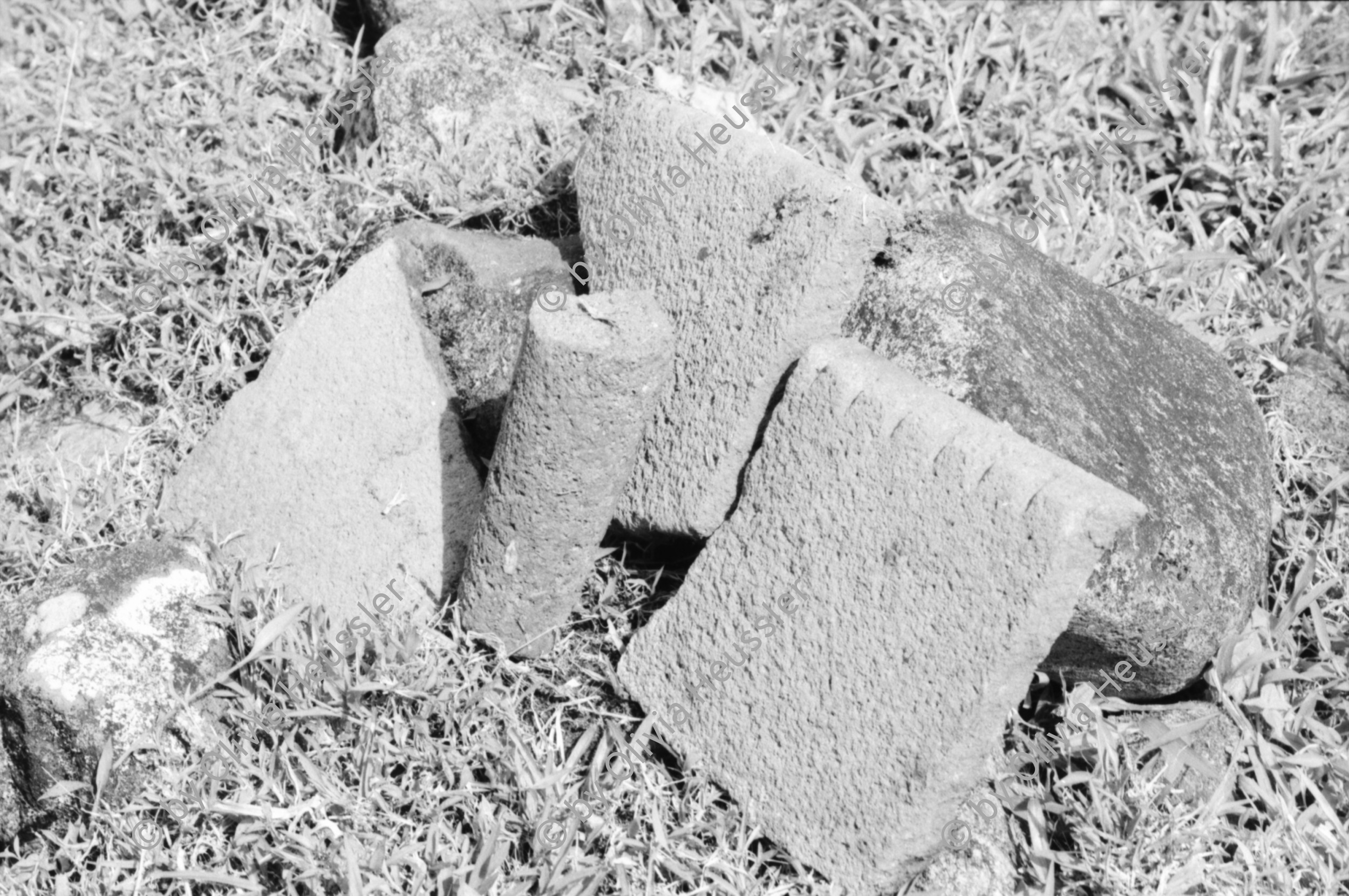 Image of sheet 19950120 photo 35: Diese Bäume haben die letztjährige private Rodungsaktion überlebt. Sie stehen auf einem Rinderzuchtgebiet in der Nähe von tropischem Regenwald. Guapiles Costa Rica 1995
Destroyed forest in german owned cattlefarm. Cattle Farm Agriculture Wood
√