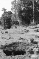 Image of sheet 19950120 photo 37: Diese Bäume haben die letztjährige private Rodungsaktion überlebt. Sie stehen auf einem Rinderzuchtgebiet in der Nähe von tropischem Regenwald. Guapiles Costa Rica 1995
Destroyed forest in german owned cattlefarm. Cattle Farm Agriculture Wood
√