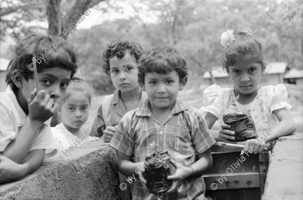 Image of sheet 19950150 photo 26: frtsg. 950140 Schule Lagartillo Turnen im Freien. Nr. Tochter von Lehrerin Janet. Schwein wird schmerzhaft transportiert und stirbt. Kindergruppe mit jungen Pflanzen. Sterilisation in Casa para la preparacion del Parto Esteli Operation mit Dr. José Angel Pino Corales macht bis sieben Sterilisationen im Tag. auch schon 16. Maria Elizabeth Garcia, 20. aus Jalapa hatte Probleme mit Schwangerschaften. vier Geburten zwei lebend. Nicaragua 1995