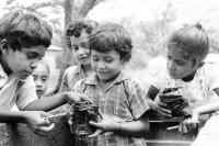 Image of sheet 19950150 photo 29: Schüler und Schülerinnen einer Landkooperative bepflanzen den schul eigenen Garten. Lagartillo Nicaragua 1995
kids belonging to the coop owned school learning plants biology students study sandinist √ gardening garden children child