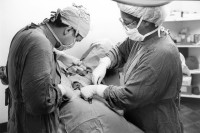 Image of sheet 19950160 photo 14: During a operation (sterilisation of a woman) you see the ovaries.