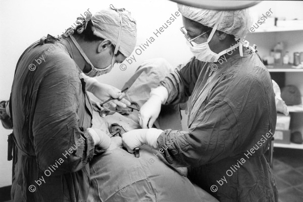 Image of sheet 19950160 photo 14: During a operation (sterilisation of a woman) you see the ovaries.