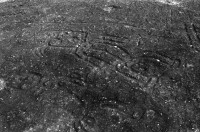 Image of sheet 19950160 photo 33: Isla del Muerto, früher Isla Ceiba. Schlangenzeichnung.  Zapatera. Piedras pintadas Zeichnung ca 800-1200 n. Christus. 1995 Esteli Nicaragua