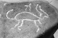 Image of sheet 19950190 photo 10: Petroglyphen prähistorische precolumbinische precolumbianische prehistorical
Petroglyphen sind in Stein gearbeitete Felsbilder aus prähistorischer Zeit. Anders als Felsmalereien werden Petroglyphen graviert, geschabt oder gepickt und damit in den Fels eingetieft. Petroglifos de la cuenca del rio esteli. Figura antropomorfa. Sinslani 2004 (s. 145 pagina.)
Victoria Salinas. Meiling und Yaosca Polin Sergio Valdivia Salinas mit Kamera. und Stirnband. 
Oscar Turcios, Tabakplantage Tabak Jugendliche arbeiten in der Tabakernte. 10 bis 15 Jahre alt. APT arbeiten 8 Stunden im Tag. 13,5 Corobas im Tag. 1$ =7.35 $ oder 12 Tg. und 182 Cordobas. Samstag ganzer Tag. Jugendl. verdienen gleich viel wie Erwachsene. Kinder sammeln Blätter und legen sie auf den Wagenanhänger des Traktor. Esteli Nicaragua 1995
Kinder arbeiten in der Tabakplantage. Kinderarbeit Tabak Pestizide 
﻿﻿﻿﻿﻿﻿﻿children working at tobacco plantation child work pesticide