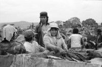 Image of sheet 19950190 photo 28: Oscar Turcios, Tabakplantage Tabak Jugendliche arbeiten in der Tabakernte. 10 bis 15 Jahre alt. APT arbeiten 8 Stunden im Tag. 13,5 Corobas im Tag. 1$ =7.35 $ oder 12 Tg. und 182 Cordobas. Samstag ganzer Tag. Jugendl. verdienen gleich viel wie Erwachsene. Kinder sammeln Blätter und legen sie auf den Wagenanhänger des Traktor. Esteli Nicaragua 1995
Kinder arbeiten in der Tabakplantage. Kinderarbeit Tabak Pestizide 
﻿﻿﻿﻿﻿﻿﻿children working at tobacco plantation child work pesticide