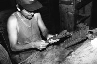 Image of sheet 19950200 photo 23: Die Hände des Arbeiters sind gegärbt von den starken Substanzen der Tabakpflanze. Er verdient 2 US-$ im Tag und dreht bis 500 Cigarren im Tag. Esteli Nicaragua 1995 √
tobacco cigars cigar production factory manual handmade hand worker work working