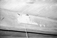 Image of sheet 19950221 photo 31: A