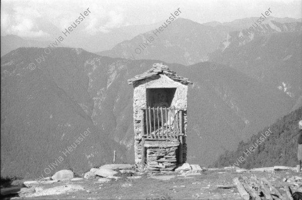 Image of sheet 19950222 photo 1: Auf der Alpe Nimi bei Onkel Zanoli Ziegen Ziegenbock Beim Käsen Carla Zanoli Ziegenkäse Tessin Ticino Valle Maggia 
8. Juli Albishaus 85. Geburtstag Amalie Pinkus Bigna Rambert und Bertold Rotschild Zürich