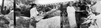 Image of sheet 19950250 photo 13: Doppelbelichtung Nicaragua und Schweiz Frauen bei der Arbeit und beim schminken in einem besetzten Haus an de Goldküste
women in Nicaragua and Switzerland doble exposure √
© 1995, OLIVIA HEUSSLER / Linda Herzog www.clic.li
Exhibition
