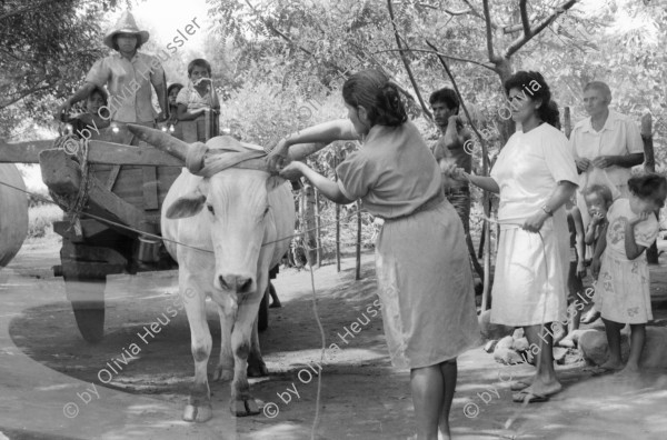 Image of sheet 19950250 photo 21: Zwei Welten auf einem Bild

Olivia Heussler und Linda Herzog kauften zusammen Schwarz-weiss Kleinbild Negativ Filme (35mm). Aus versehen mischte sich unter die unbelichteten Filme, einer, den Olivia Heussler für ihre Arbeit in «Frauenprojekte» (für DEZA) bereits in Nicaragua belichtet hatte. Linda Herzog fotografierte auf denselben Film Freundinnen beim Haareschneiden in einer besetzten Villa und Strassen in Zürich.
______
Doppelbelichtung Nicaragua und Schweiz Frauen bei der Arbeit und beim schminken in einem besetzten Haus an de Goldküste
women in Nicaragua and Switzerland doble exposure
© 1995, OLIVIA HEUSSLER / Linda Herzog www.clic.li