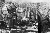 Image of sheet 19950250 photo 29: Double exposition au Nicaragua et en Suisse
Les agriculteurs au travail avec des bœufs / vue sur la voie ferrée à Zurich 
Doppelbelichtung Nicaragua und Schweiz
Bäuerinnen bei der Arbeit mit Ochsengespann  / Sicht auf die Bahngleise in Zürich
Women in Nicaragua and Switzerland doble exposure art
© 1995, OLIVIA HEUSSLER / Linda Herzog 

Exhibition: Contres Pouvoirs, Altkirch 2017