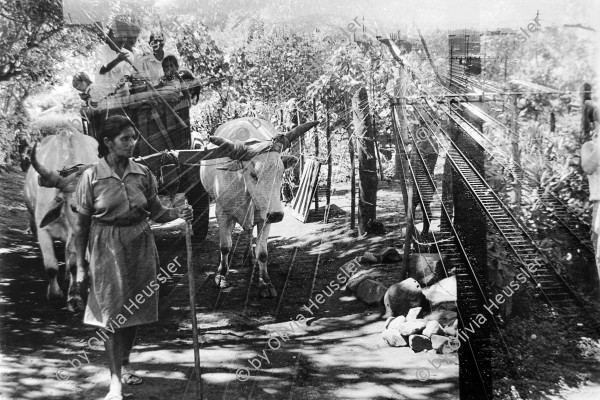 Image of sheet 19950250 photo 29: Double exposition au Nicaragua et en Suisse
Les agriculteurs au travail avec des bœufs / vue sur la voie ferrée à Zurich 
Doppelbelichtung Nicaragua und Schweiz
Bäuerinnen bei der Arbeit mit Ochsengespann  / Sicht auf die Bahngleise in Zürich
Women in Nicaragua and Switzerland doble exposure art
© 1995, OLIVIA HEUSSLER / Linda Herzog 

Exhibition: Contres Pouvoirs, Altkirch 2017