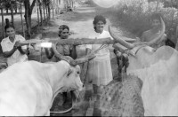Image of sheet 19950250 photo 3: Zwei Welten auf einem Bild

Olivia Heussler und Linda Herzog kauften zusammen Schwarz-weiss Kleinbild Negativ Filme (35mm). Aus versehen mischte sich unter die unbelichteten Filme, einer, den Olivia Heussler für ihre Arbeit in «Frauenprojekte» (für DEZA) bereits in Nicaragua belichtet hatte. Linda Herzog fotografierte auf denselben Film Freundinnen beim Haareschneiden in einer besetzten Villa und Strassen in Zürich.
______
Doppelbelichtung Nicaragua und Schweiz Frauen bei der Arbeit und beim schminken in einem besetzten Haus an de Goldküste
women in Nicaragua and Switzerland doble exposure
© 1995, OLIVIA HEUSSLER / Linda Herzog www.clic.li