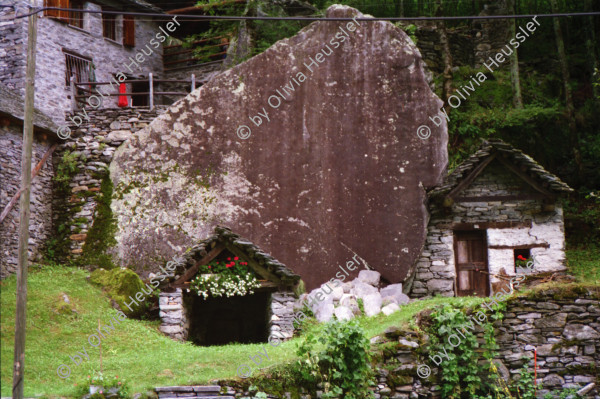 Image of sheet 19950340 photo 27: Tessin Ticino Schweiz Svizzera 1995