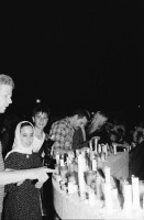 Image of sheet 19950360 photo 28: A