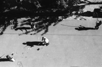Image of sheet 19950380 photo 13: J