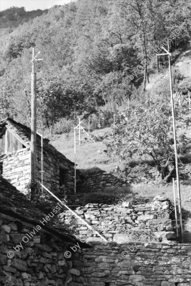 Image of sheet 19950400 photo 6: Chiasso Guido Magnoguagno liest oder schläft während Eröffnung Ausstellung Zeitgenössische Schweizer Photographie in der Galleria Gottardo Lugano Banco del Gottardo. Strassenszene Polin liest ein Buch Die Brücke von Brié Polin Granitsteelen im Kastanienwald. Gordevio Ausbau Rustico ausgesteckt.