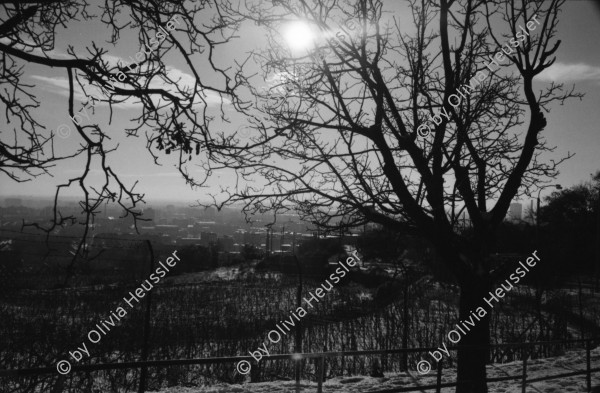 Image of sheet 19950410 photo 31: Ruth vor Hotel Koliba an der BushaltestelleUebersicht auf Hausberg Sicht auf Stadt. Strassenbahn