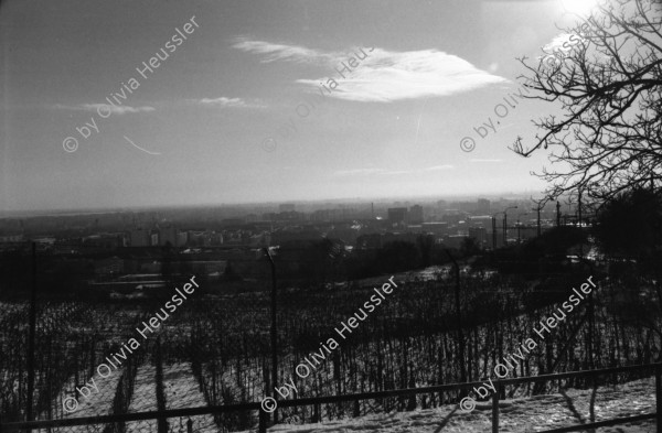 Image of sheet 19950410 photo 32: Ruth vor Hotel Koliba an der BushaltestelleUebersicht auf Hausberg Sicht auf Stadt. Strassenbahn