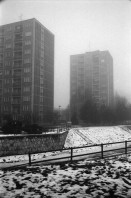 Image of sheet 19950470 photo 21: g