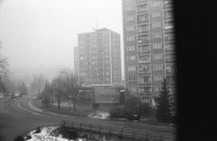 Image of sheet 19950470 photo 8: p
