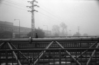 Image of sheet 19950470 photo 9: gemischt Personen Minkoff Ohlesen tanzen  König Pfaff Kia Motors Bahnhof  Roma raucht Portrait