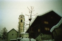 Image of sheet 19950530 photo 2: P