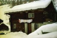 Image of sheet 19950530 photo 3: Polin in Gordevio Walser Haus Bosco Gurin Kirche mit Schnee Carla Zanoli und Veronique Olivia am Computer Polin nackt in der Dusche Autotransport per Zug Polin am bügeln
Langstrasse Zürich Kreis 4 im Schnee Bäckeranlage Fahrräder Tafel Mann mit Hund an der Leine Margrit Brunner Polin mit Schlitten