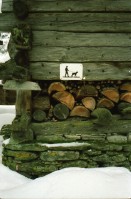Image of sheet 19950530 photo 4: n
