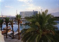 Image of sheet 19950540 photo 37: P