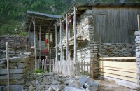 Image of sheet 19951500 photo 20: Carla Zanoli Olivia Heussler Ziegen auf der Alpe Nimi mit Zio ? Touristen Hansruedi Melken Ziegen auf der Alpe Nimi mit Zio Zanoli Touristen Melken Gordevio valle Maggia Ticino 1995