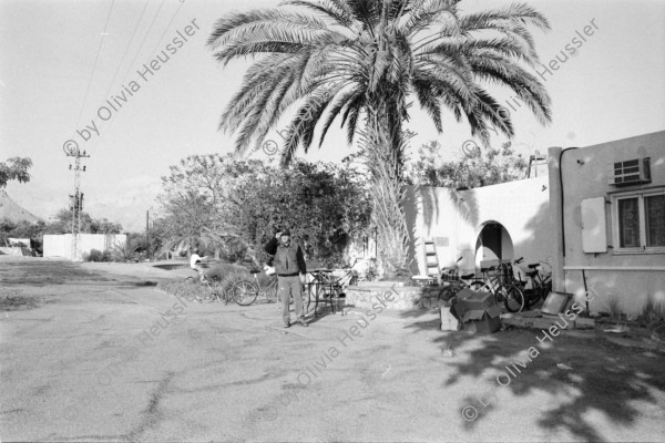 Image of sheet 19960030 photo 0: Alte Ölfässer mit Kunstwerk Spiegel Frau beim Füttern der Kälber Mann Schoppen geben Kalb Gruppenbild Fahrrad
Israel Kibbutz Samar 1996