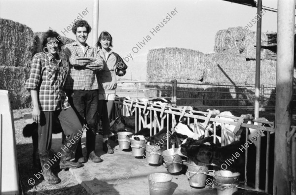 Image of sheet 19960030 photo 27: Alte Ölfässer mit Kunstwerk Spiegel Frau beim Füttern der Kälber Mann Schoppen geben Kalb Gruppenbild Fahrrad
Israel Kibbutz Samar 1996