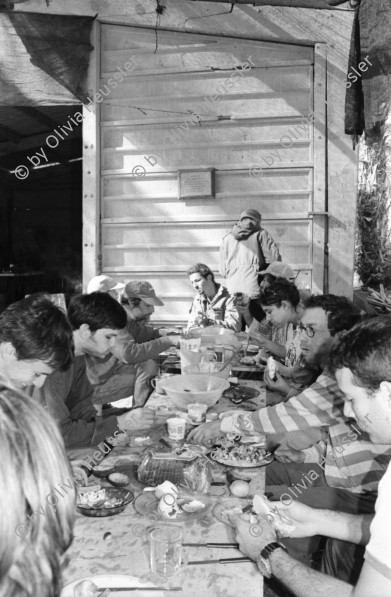 Image of sheet 19960030 photo 36: Alte Ölfässer mit Kunstwerk Spiegel Frau beim Füttern der Kälber Mann Schoppen geben Kalb Gruppenbild Fahrrad
Israel Kibbutz Samar 1996