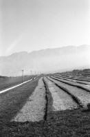 Image of sheet 19960050 photo 16: Samar Kibbutz Junge Dattel palmen Arbeiter beim Mittagsessen Grasnarben in der Wüste Samar produziert Garten Gras in den Norden. Deganit mit Feldstecher schaut nach Jordanien Pumpwasserstation für die Bewässerung der Wüste Kuh Melk station Nummer 2 steht auf dem Kuhrücken 
Jerusalem Altstadt Übersicht vom Austrian Hospiz aus Via Dolorosa Israel 1996

Samar (Hebrew: סָמָר) is a kibbutz in the Arabah valley in the far south of Israel. Located near Eilat, it falls under the jurisdiction of Hevel Eilot Regional Council

A kibbutz (Hebrew: קִבּוּץ / קיבוץ, lit. "gathering, clustering"; plural kibbutzim) is a collective community in Israel that was traditionally based on agriculture. Today, farming has been partly supplanted by other economic branches, including industrial plants and high-tech enterprises.[1] Kibbutzim began as utopian communities, a combination of socialism and Zionism. In recent decades, some kibbutzim have been privatized and changes have been made in the communal lifestyle. A member of a kibbutz is called a kibbutznik (Hebrew: קִבּוּצְנִיק).