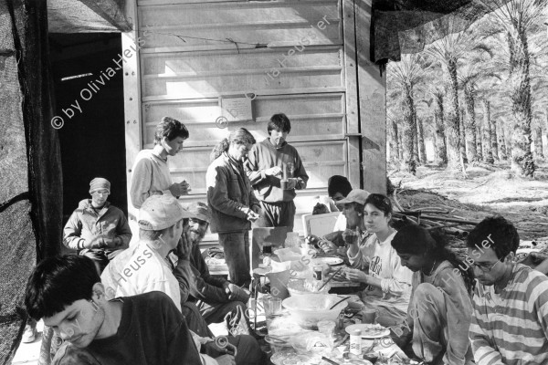 Image of sheet 19960050 photo 6: Mittagspause für die Dattel arbeiter Innen im Kibbutz Samar. Israel 01. 1996 √ Lunch for employees at work. harvest 

Samar (Hebrew: סָמָר) is a kibbutz in the Arabah valley in the far south of Israel. Located near Eilat, it falls under the jurisdiction of Hevel Eilot Regional Counci