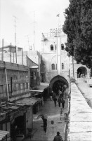 Image of sheet 19960060 photo 0: Strassenszene King Salomon Street Nr. 1-3 und Nr. 9- 24 mit Wahlpropadanda und NO + Davidstern graffitti. In der Altstadt Jerusalem Salbungsstein (hier wurde der Leichnam Christi gesalbt) in der Grabeskirche 3 griechisch-orthodoxe Altare im Kalvarienberg  rechts der Kreuzannagelungsaltar (von 1588) in der Mitte der (ebenfalls den Katholiken gehörende) Stabat-Mater-Altar links der Kreuzigungsaltar der Orthodoxen mit Loch in dem das Kreuz stand, und die Felsplatte,die sich nach der Kreuzigung öffnete. Auf dem Kalvarienberg werden Stationen X-XIII des Kreuzweges angenommen. Sicht auf die Altstadt vom Ölberg, Berg Ophel. Jüdischer Friedhof mit betenden Juden und Junge mit Esel. Israel 1996