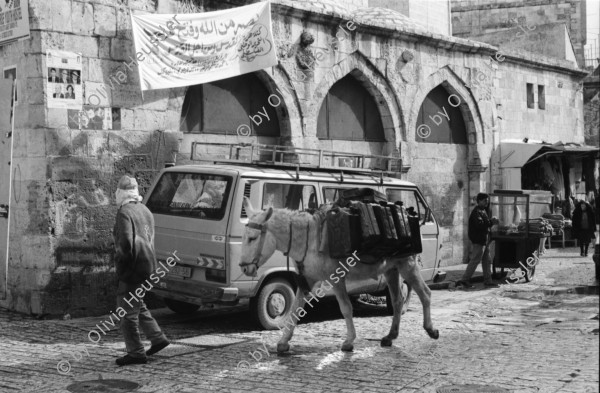 Image of sheet 19960060 photo 2: Strassenszene King Salomon Street Nr. 1-3 und Nr. 9- 24 mit Wahlpropadanda und NO + Davidstern graffitti. In der Altstadt Jerusalem Salbungsstein (hier wurde der Leichnam Christi gesalbt) in der Grabeskirche 3 griechisch-orthodoxe Altare im Kalvarienberg  rechts der Kreuzannagelungsaltar (von 1588) in der Mitte der (ebenfalls den Katholiken gehörende) Stabat-Mater-Altar links der Kreuzigungsaltar der Orthodoxen mit Loch in dem das Kreuz stand, und die Felsplatte,die sich nach der Kreuzigung öffnete. Auf dem Kalvarienberg werden Stationen X-XIII des Kreuzweges angenommen. Sicht auf die Altstadt vom Ölberg, Berg Ophel. Jüdischer Friedhof mit betenden Juden und Junge mit Esel. Israel 1996