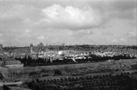 Image of sheet 19960060 photo 27: Strassenszene King Salomon Street Nr. 1-3 und Nr. 9- 24 mit Wahlpropadanda und NO + Davidstern graffitti. In der Altstadt Jerusalem Salbungsstein (hier wurde der Leichnam Christi gesalbt) in der Grabeskirche 3 griechisch-orthodoxe Altare im Kalvarienberg  rechts der Kreuzannagelungsaltar (von 1588) in der Mitte der (ebenfalls den Katholiken gehörende) Stabat-Mater-Altar links der Kreuzigungsaltar der Orthodoxen mit Loch in dem das Kreuz stand, und die Felsplatte,die sich nach der Kreuzigung öffnete. Auf dem Kalvarienberg werden Stationen X-XIII des Kreuzweges angenommen. Sicht auf die Altstadt vom Ölberg, Berg Ophel. Jüdischer Friedhof mit betenden Juden und Junge mit Esel. Israel 1996