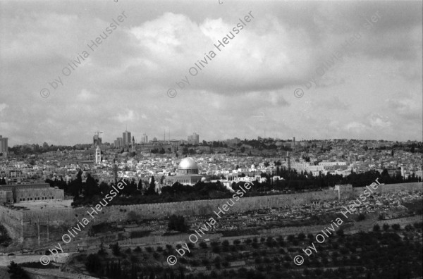 Image of sheet 19960060 photo 27: Strassenszene King Salomon Street Nr. 1-3 und Nr. 9- 24 mit Wahlpropadanda und NO + Davidstern graffitti. In der Altstadt Jerusalem Salbungsstein (hier wurde der Leichnam Christi gesalbt) in der Grabeskirche 3 griechisch-orthodoxe Altare im Kalvarienberg  rechts der Kreuzannagelungsaltar (von 1588) in der Mitte der (ebenfalls den Katholiken gehörende) Stabat-Mater-Altar links der Kreuzigungsaltar der Orthodoxen mit Loch in dem das Kreuz stand, und die Felsplatte,die sich nach der Kreuzigung öffnete. Auf dem Kalvarienberg werden Stationen X-XIII des Kreuzweges angenommen. Sicht auf die Altstadt vom Ölberg, Berg Ophel. Jüdischer Friedhof mit betenden Juden und Junge mit Esel. Israel 1996