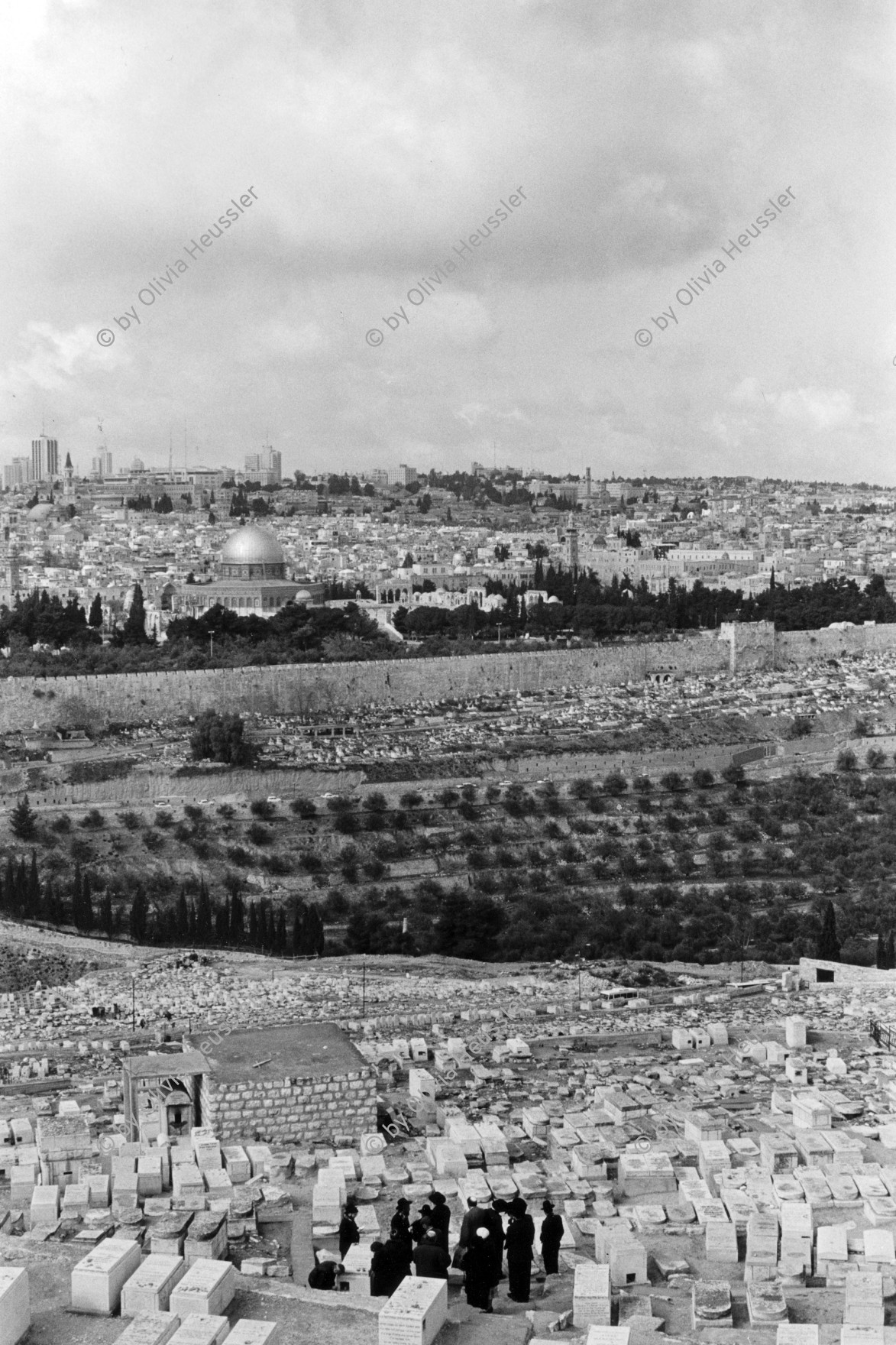 Image of sheet 19960060 photo 30: Sicht auf die Altstadt Jerusalems vom Ölberg, Berg Ophel. Jüdischer Friedhof mit betenden Juden und Junge mit Esel. Israel 1996 Paelstine old town cemetary
√