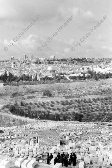 Image of sheet 19960060 photo 33: mit Esel. Israel 1996 Paelstine old town cemetary