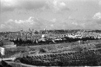 Image of sheet 19960060 photo 35: Sicht auf die Altstadt vom Ölberg, Berg Ophel.